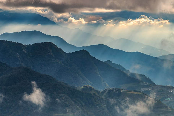 Load image into Gallery viewer, Dummy Product
